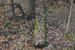 image0102-small.jpg