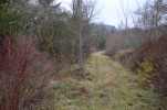 image009-small.jpg