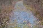 image024-small.jpg