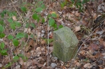 image028-small.jpg
