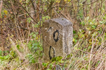 image053-small.jpg