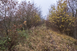 image059-small.jpg