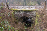 image079-small.jpg