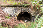 image114-small.jpg