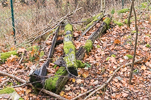 image127-small.jpg
