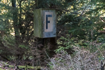 image201-small.jpg