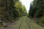 image303-small.jpg