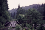 image505.jpg