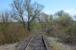 image002.jpg