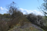 image008.jpg