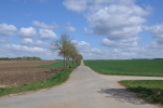 image012.jpg