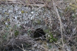 image017.jpg