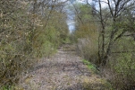 image019.jpg