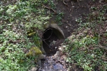 image020.jpg