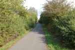 image037.jpg