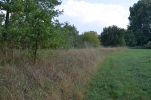 image040.jpg