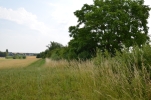 image004.jpg