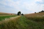 image010.jpg