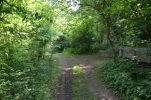 image012.jpg
