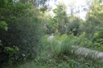 image009-small.jpg