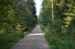 image011-small.jpg