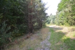 image0308-small.jpg