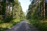 image0402-small.jpg