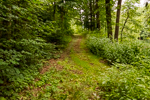 image010-small.jpg