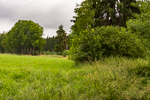 image029-small.jpg