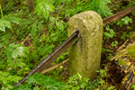 image037-small.jpg