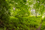 image038-small.jpg
